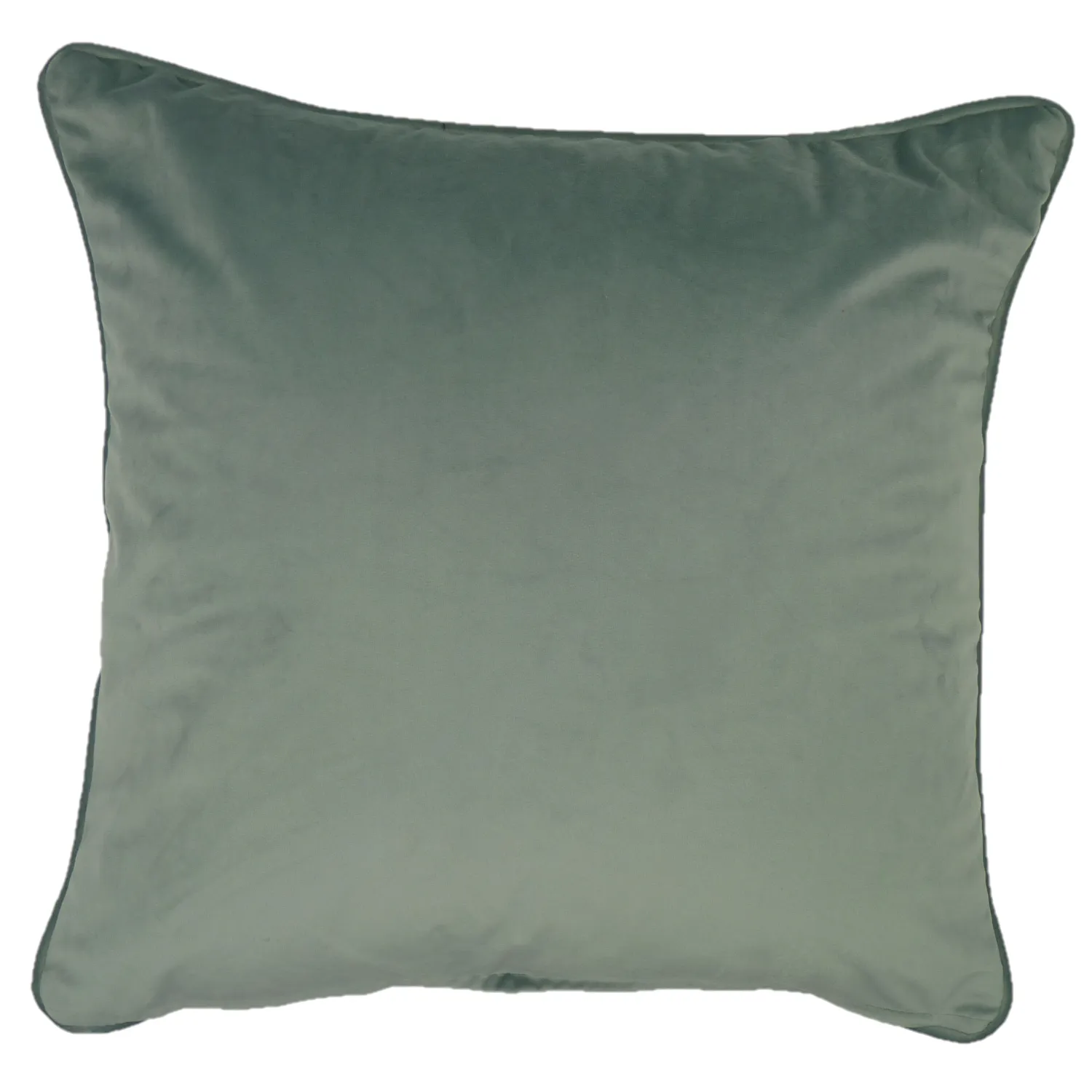 Amersham Duck Egg Blossom Cushion Cover (45cm x 45cm)