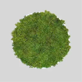 Artificial reindeer moss wall circular art panel MDF White - 50cm