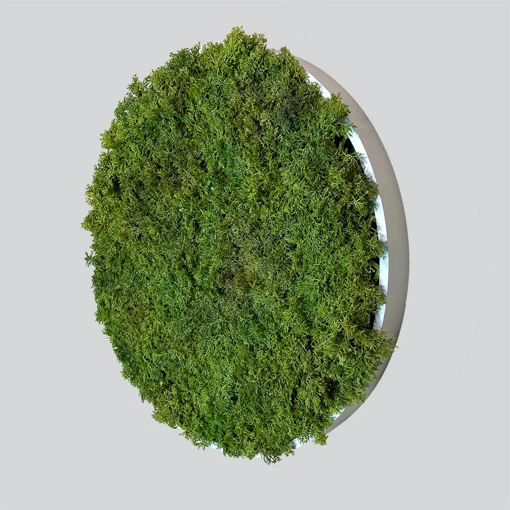 Artificial reindeer moss wall circular art panel MDF White - 50cm