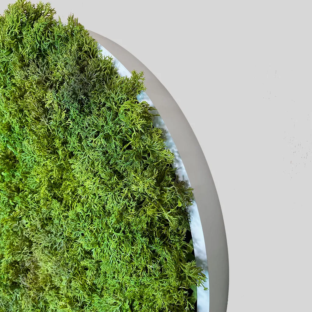 Artificial reindeer moss wall circular art panel MDF White - 50cm