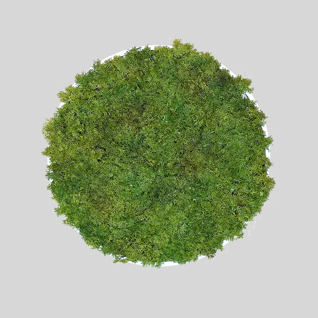 Artificial reindeer moss wall circular art panel MDF White - 50cm