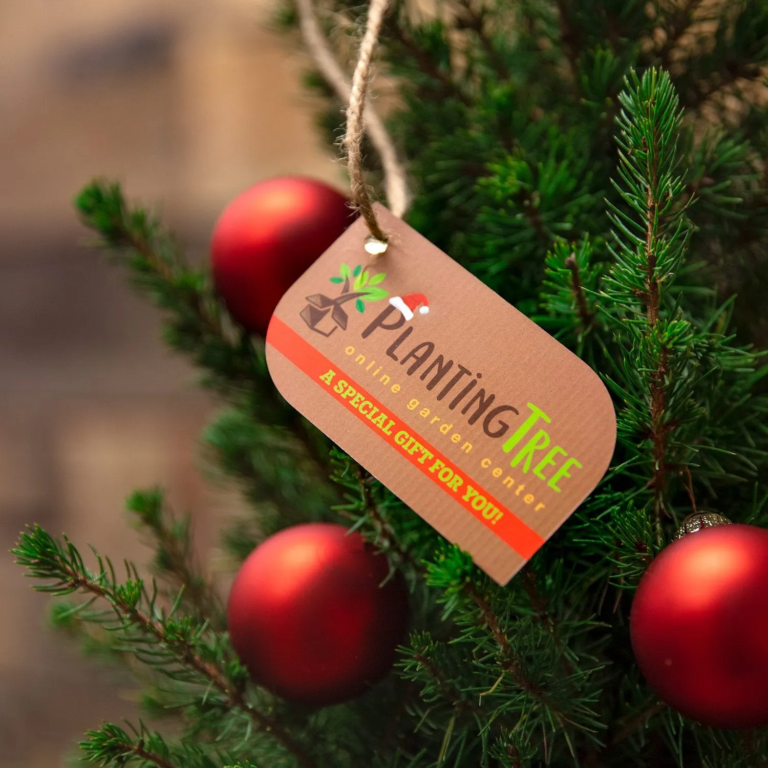 Tabletop Christmas Trees - October Magic Inspiration Camellia