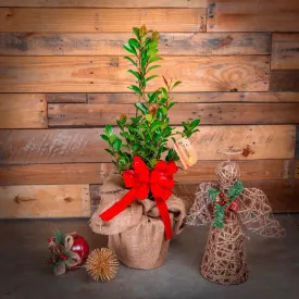 Tabletop Christmas Trees - October Magic Inspiration Camellia